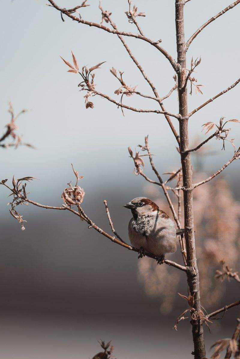 Die Magie der goldenen Stunde
