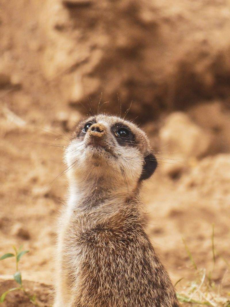 Lichtblick Fotografie - Image 8