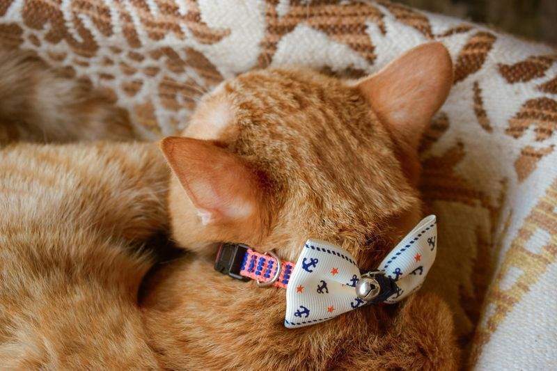 Lichtblick Fotografie